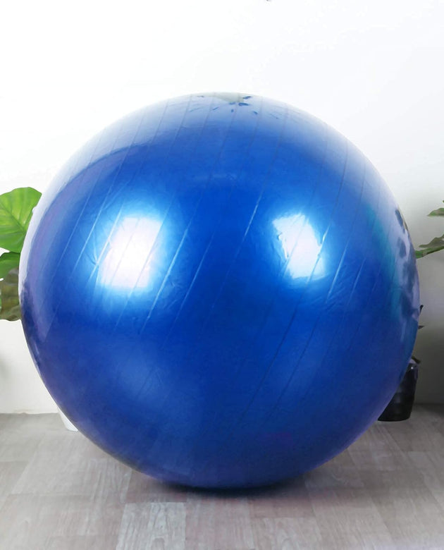 SWISS PHYSIO BALL THERAPY