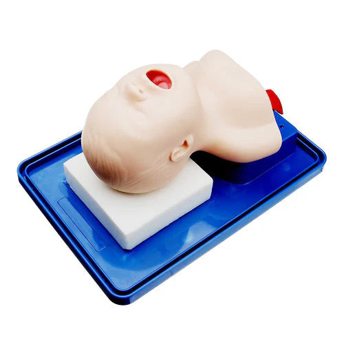 CPR training mannequin head on a blue tray with a white background