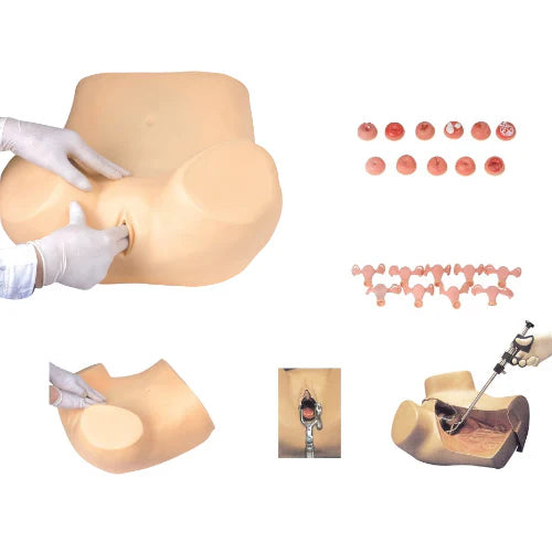 a Gynecological Training Simulator, a medical education tool used to train healthcare professionals in pelvic examination and procedures.