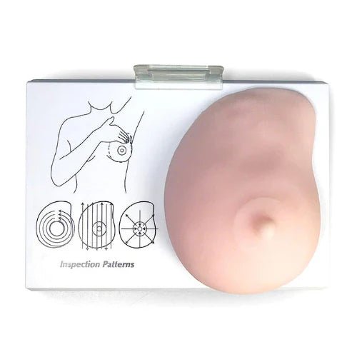 Human Breast Cancer Self Exam Model - 1 Physiotherapy Equipment Manufacturers & Suppliers in India