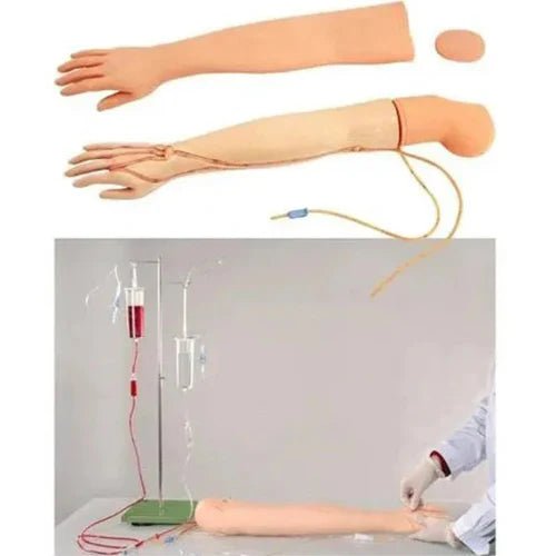 Multifunctional Adult IV Training Arm Model - 1 Physiotherapy Equipment Manufacturers & Suppliers in India