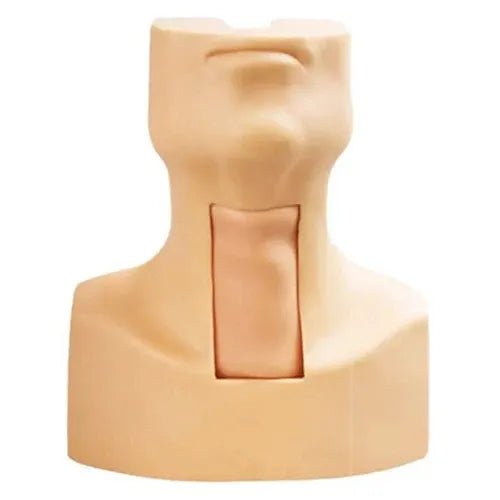 Tracheotomy and Endotracheal Intubation Model - 1 Physiotherapy Equipment Manufacturers & Suppliers in India